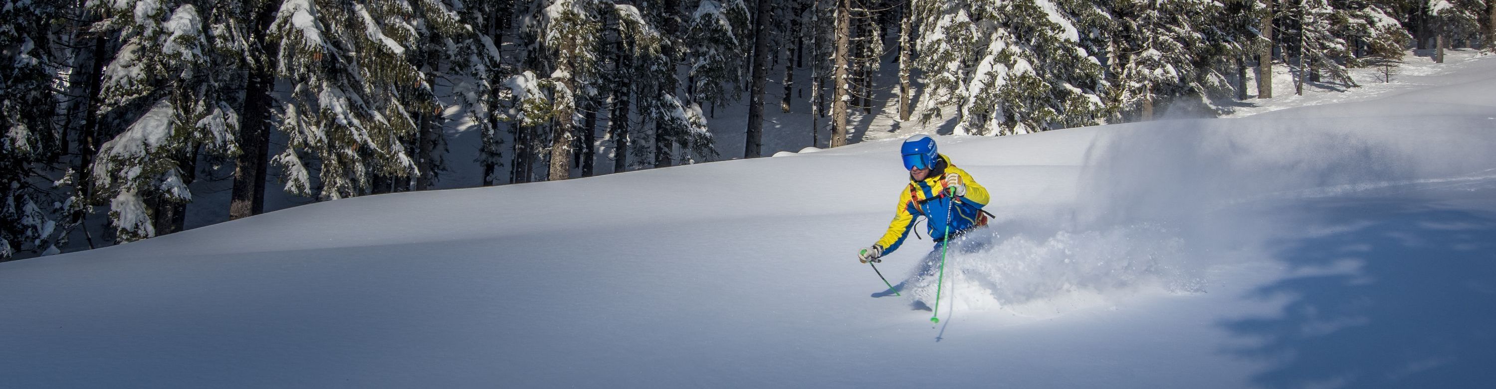 Ski- und Snowboardschule Mountain Action