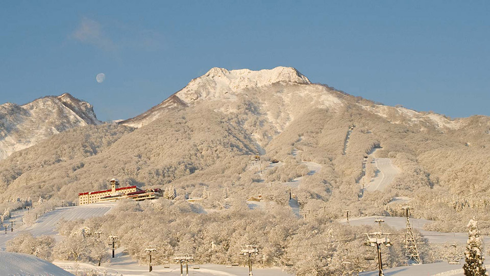 International Snowsports School Myoko