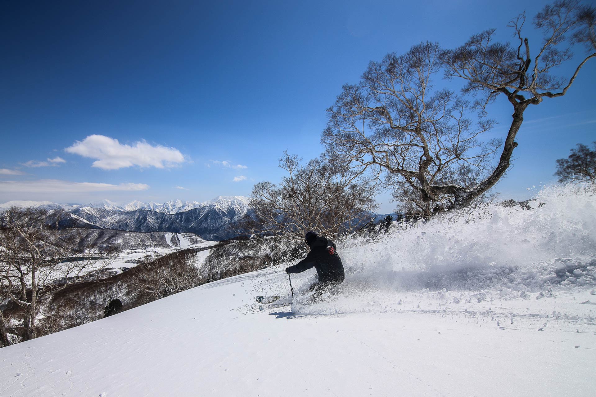 Naeba International Snow School