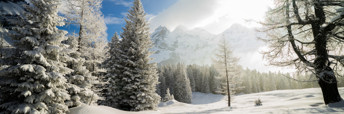 Schweizer Ski- und Snowboardschule Kandersteg